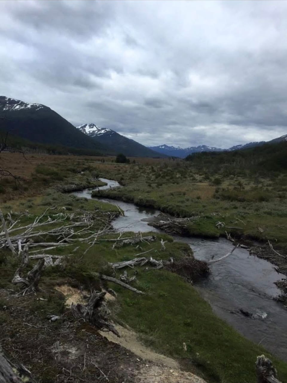 Valle austral con montañas nevadas
