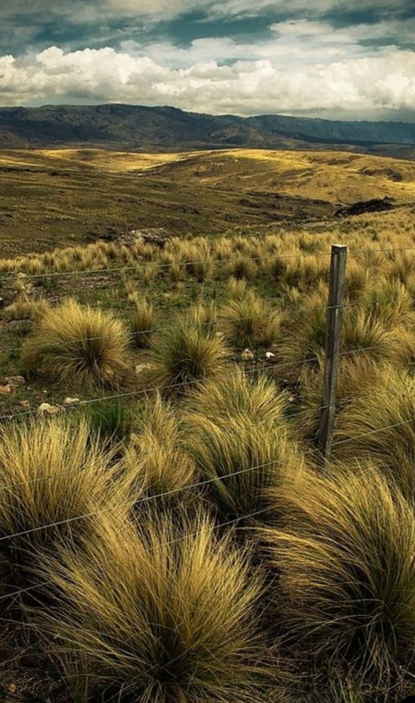 Silencio austral