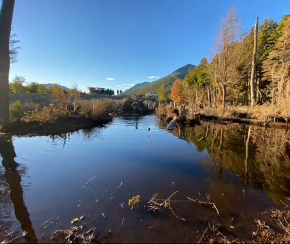 Laguna
